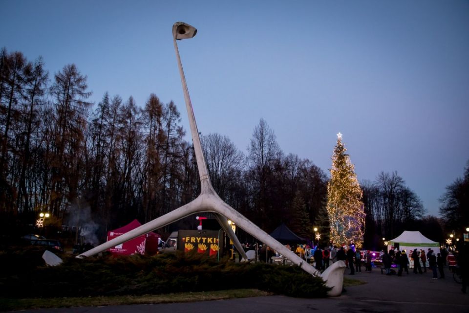 Park Śląski w świątecznym klimacie. Na choince w alei Żyrafy rozbłysnęły świąteczne lampki - galeria