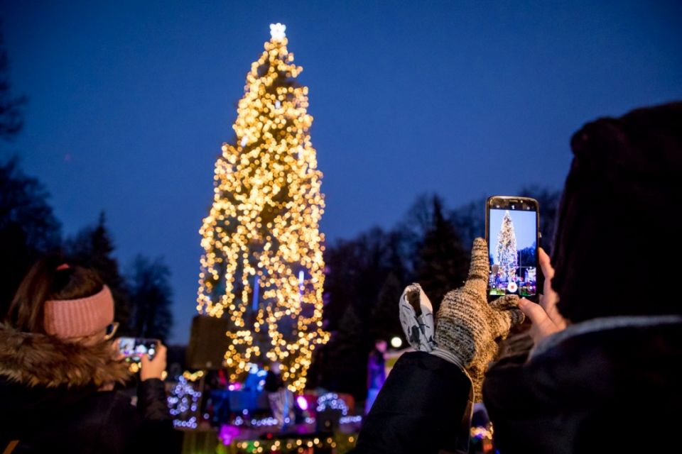 Park Śląski w świątecznym klimacie. Na choince w alei Żyrafy rozbłysnęły świąteczne lampki - galeria
