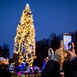 Kopiowanie i rozpowszechnianie zdjęć bez zgody autora zabronione. Park Śląski w świątecznym klimacie. Na choince w alei Żyrafy rozbłysnęły świąteczne lampki - galeria