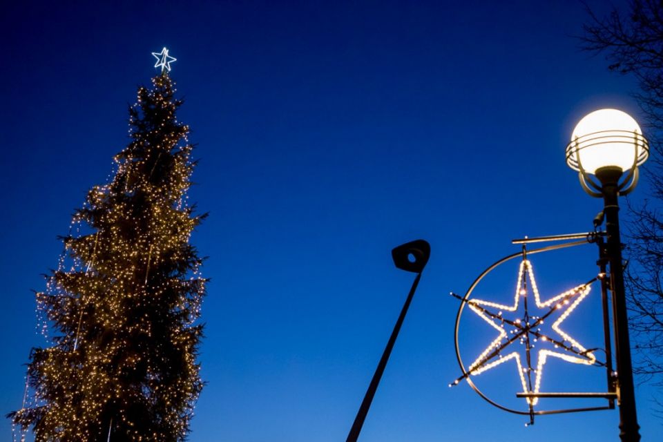 Park Śląski w świątecznym klimacie. Na choince w alei Żyrafy rozbłysnęły świąteczne lampki - galeria