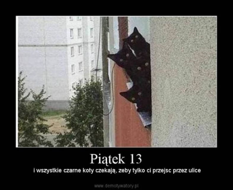 Wierzycie w pechowość piątku trzynastego? Zobaczcie najśmieszniejsze MEMY! - galeria