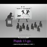 Wierzycie w pechowość piątku trzynastego? Zobaczcie najśmieszniejsze MEMY! - galeria