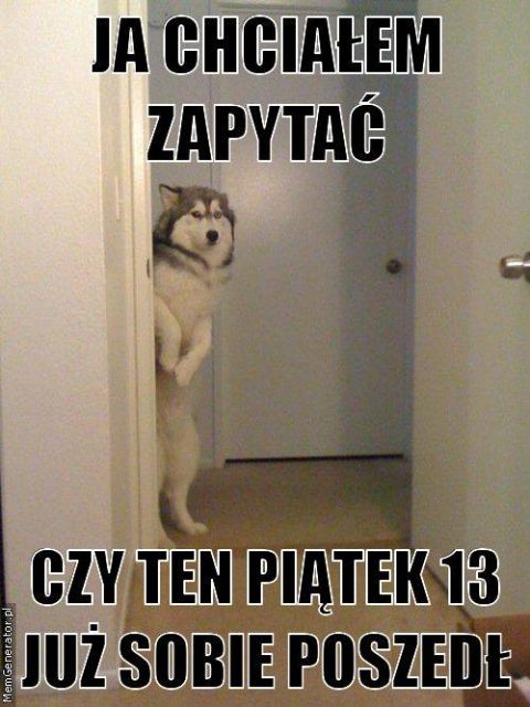 Wierzycie w pechowość piątku trzynastego? Zobaczcie najśmieszniejsze MEMY! - galeria