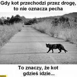 Wierzycie w pechowość piątku trzynastego? Zobaczcie najśmieszniejsze MEMY! - galeria