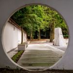 Park Śląski: Ogród Japoński przeniesie nas do Kraju Kwitnącej Wiśni - galeria