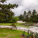 Park Śląski: Ogród Japoński przeniesie nas do Kraju Kwitnącej Wiśni - galeria