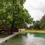 Park Śląski: Ogród Japoński przeniesie nas do Kraju Kwitnącej Wiśni - galeria