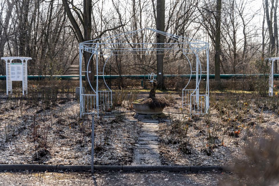 W Miejskim Ogrodzie Botanicznym w Zabrzu widać już wiosnę! - galeria