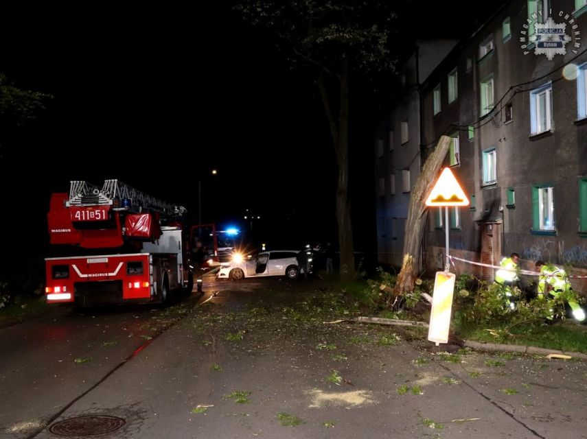 Nietrzeźwy kierowca forda uderzył w drzewo w Bytomiu – trafił do szpitala - galeria