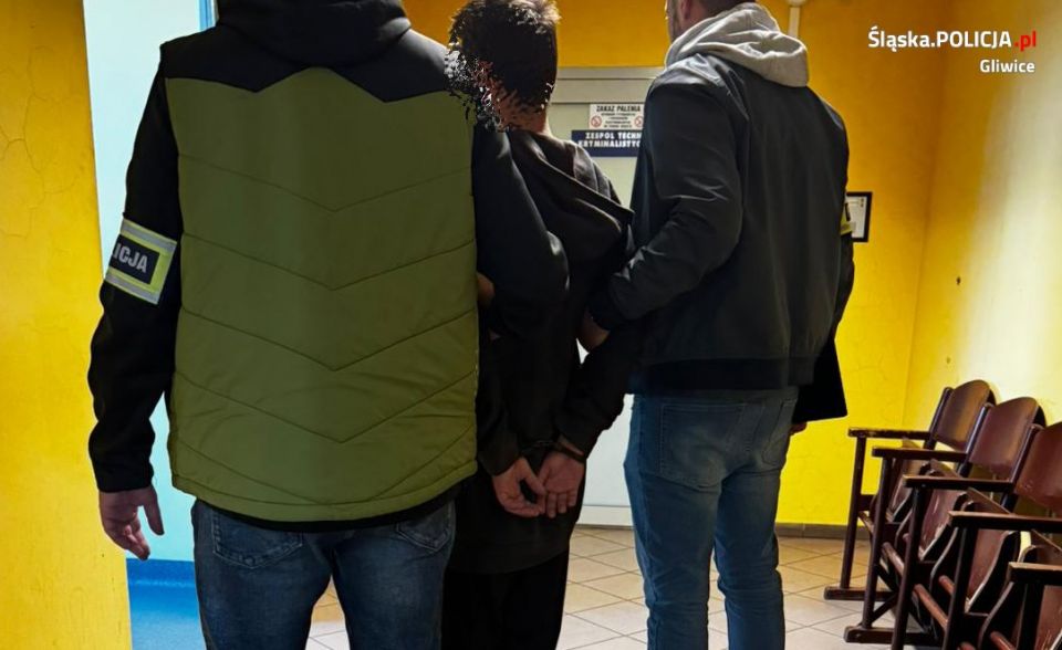 Seria ataków w Gliwicach: policja zatrzymuje sprawcę ukłuć - galeria