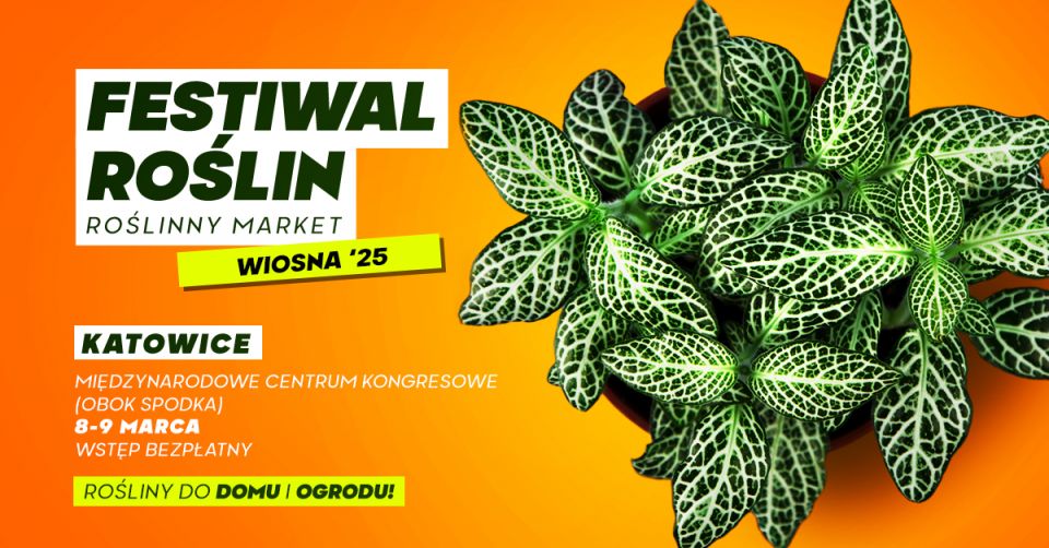 Kopiowanie i rozpowszechnianie zdjęć bez zgody autora zabronione. Festiwal Roślin - galeria