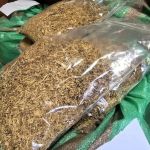 Ponad 65 tys. papierosów i 117 kg tytoniu przejęte w Tychach - galeria