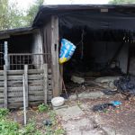 Dramat w Świętochłowicach! Zaniedbane zwierzęta przetrzymywane w skandalicznych warunkach - galeria