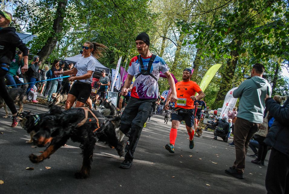 Trwa 8. Katowicki Dzień Psiaka [FOTORELACJA] - galeria