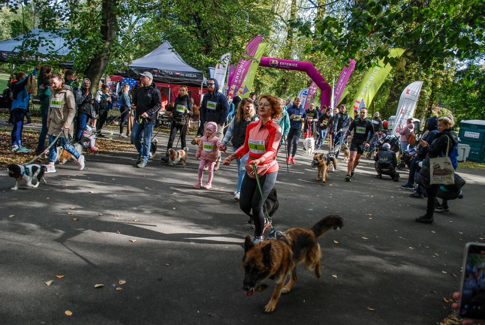 Trwa 8. Katowicki Dzień Psiaka [FOTORELACJA] - galeria