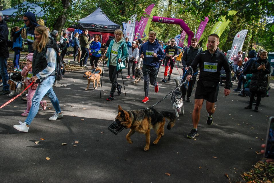 Trwa 8. Katowicki Dzień Psiaka [FOTORELACJA] - galeria