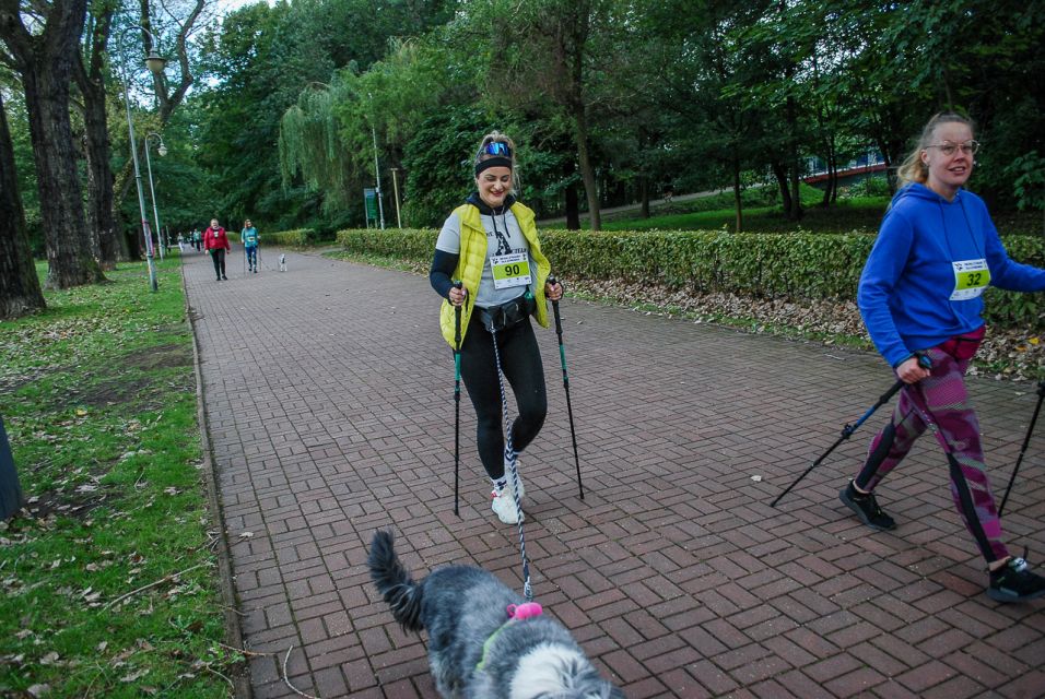 Trwa 8. Katowicki Dzień Psiaka [FOTORELACJA] - galeria