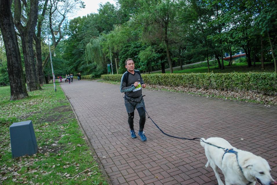 Trwa 8. Katowicki Dzień Psiaka [FOTORELACJA] - galeria