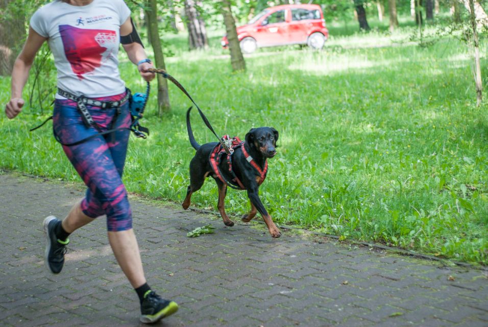 Parkrun na Dzień Dziecka - edycja 2025 [FOTORELACJA] - galeria
