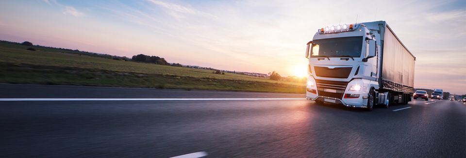 Jakie cechy powinien posiadać operator wózków widłowych? - galeria