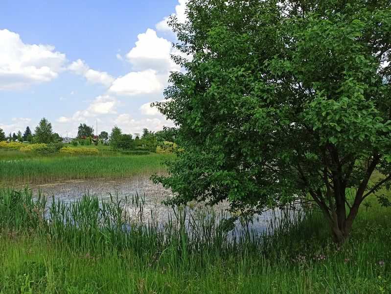 Śląski Ogród Botaniczny w Mikołowie - sielska kraina województwa śląskiego - galeria