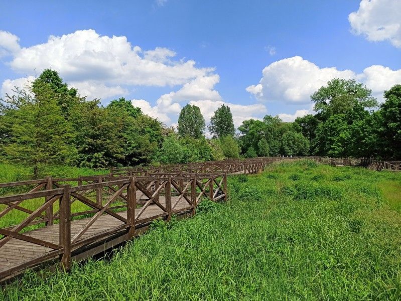Śląski Ogród Botaniczny w Mikołowie - sielska kraina województwa śląskiego - galeria