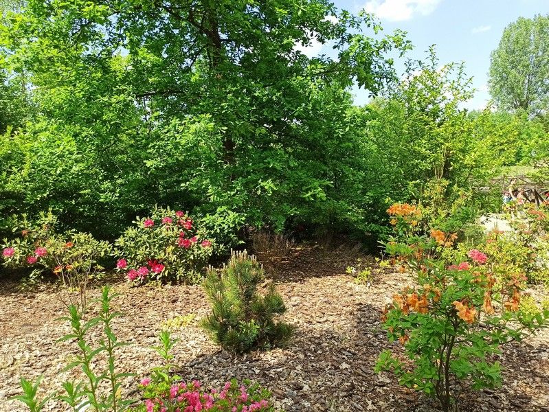 Śląski Ogród Botaniczny w Mikołowie - sielska kraina województwa śląskiego - galeria