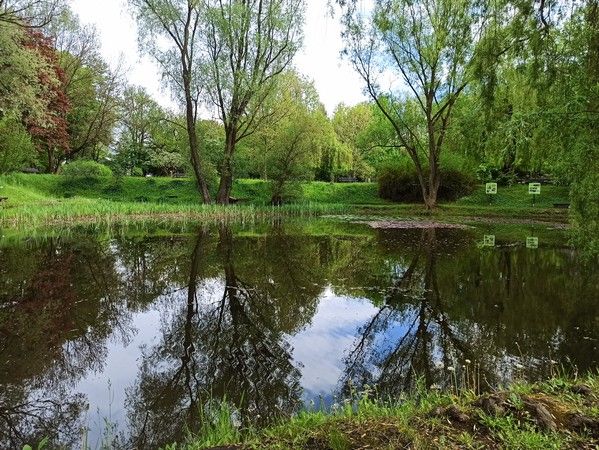 Miejski Ogród Botaniczny w Zabrzu to jedna z perełek województwa śląskiego - galeria