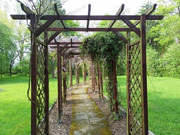 Miejski Ogród Botaniczny w Zabrzu to jedna z perełek województwa śląskiego - galeria