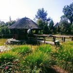 Kopiowanie i rozpowszechnianie zdjęć bez zgody autora zabronione. Ogrody Kapias - perła Goczałkowic - galeria