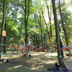 Kopiowanie i rozpowszechnianie zdjęć bez zgody autora zabronione. Pałac w bytomskich Miechowicach otwarty! Miasto zrewitalizowało obiekt, czyniąc z niego architektoniczną perłę - galeria