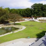 Park Śląski od 70 lat służy spacerowiczom, turystom czy uczestnikom imprez masowych - galeria