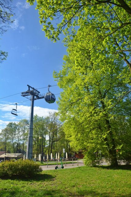 Wiosna zawitała do Parku Śląskiego! Zobaczcie, jak jest pięknie! [ZDJĘCIA] - galeria