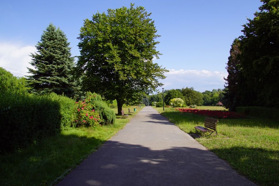 Park Śląski od 70 lat służy spacerowiczom, turystom czy uczestnikom imprez masowych - galeria