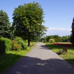 Park Śląski od 70 lat służy spacerowiczom, turystom czy uczestnikom imprez masowych - galeria