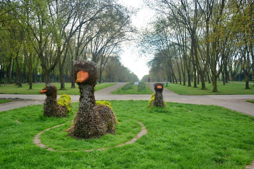 Wiosna zawitała do Parku Śląskiego! Zobaczcie, jak jest pięknie! [ZDJĘCIA] - galeria