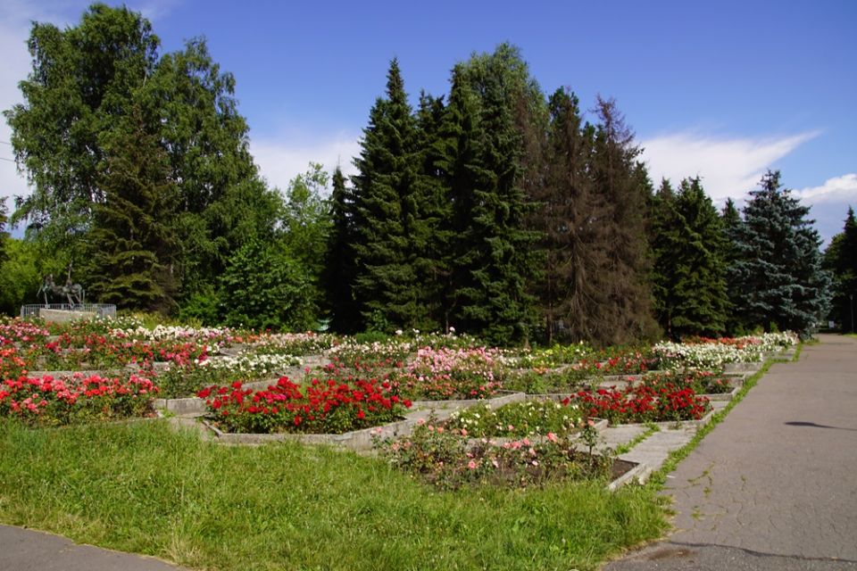 Park Śląski od 70 lat służy spacerowiczom, turystom czy uczestnikom imprez masowych - galeria