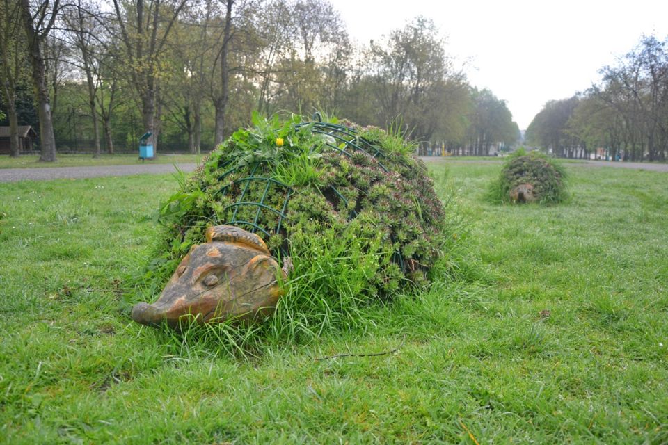 Wiosna zawitała do Parku Śląskiego! Zobaczcie, jak jest pięknie! [ZDJĘCIA] - galeria