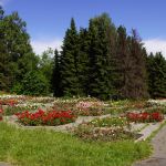 Park Śląski od 70 lat służy spacerowiczom, turystom czy uczestnikom imprez masowych - galeria