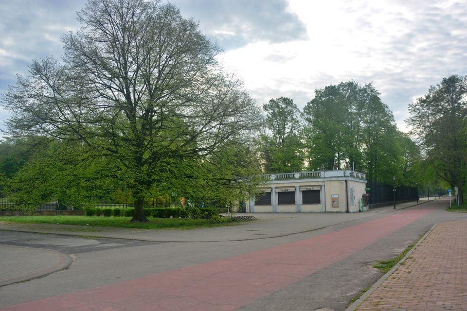 Wiosna zawitała do Parku Śląskiego! Zobaczcie, jak jest pięknie! [ZDJĘCIA] - galeria