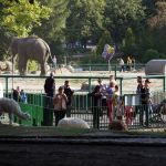 Park Śląski od 70 lat służy spacerowiczom, turystom czy uczestnikom imprez masowych - galeria