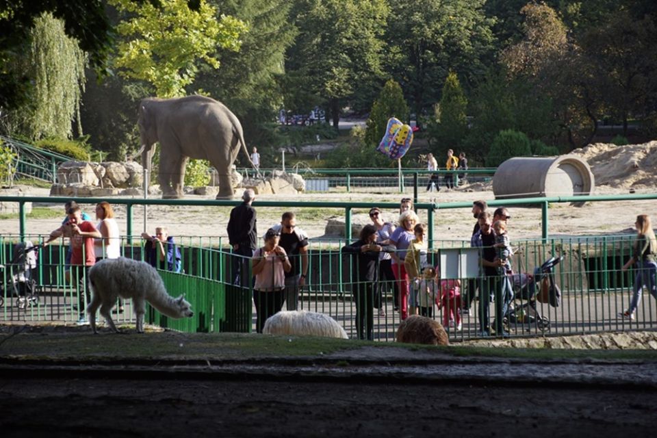 Park Śląski od 70 lat służy spacerowiczom, turystom czy uczestnikom imprez masowych - galeria