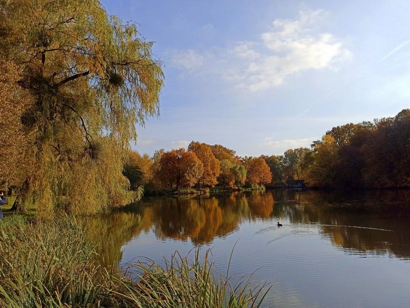 Park w Świerklańcu to jeden z najciekawszych parków województwa śląskiego [Galeria] - galeria