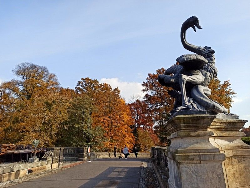 Park w Świerklańcu to jeden z najciekawszych parków województwa śląskiego [Galeria] - galeria