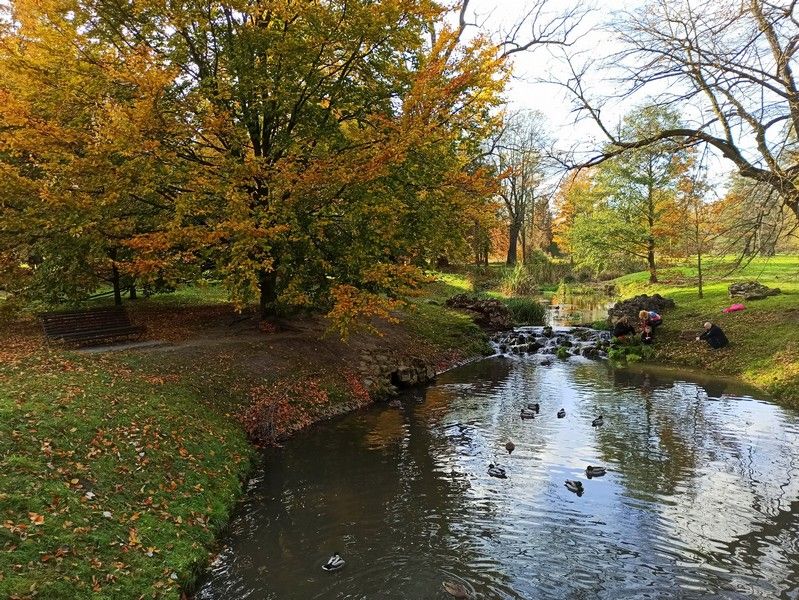 Park w Świerklańcu to jeden z najciekawszych parków województwa śląskiego [Galeria] - galeria