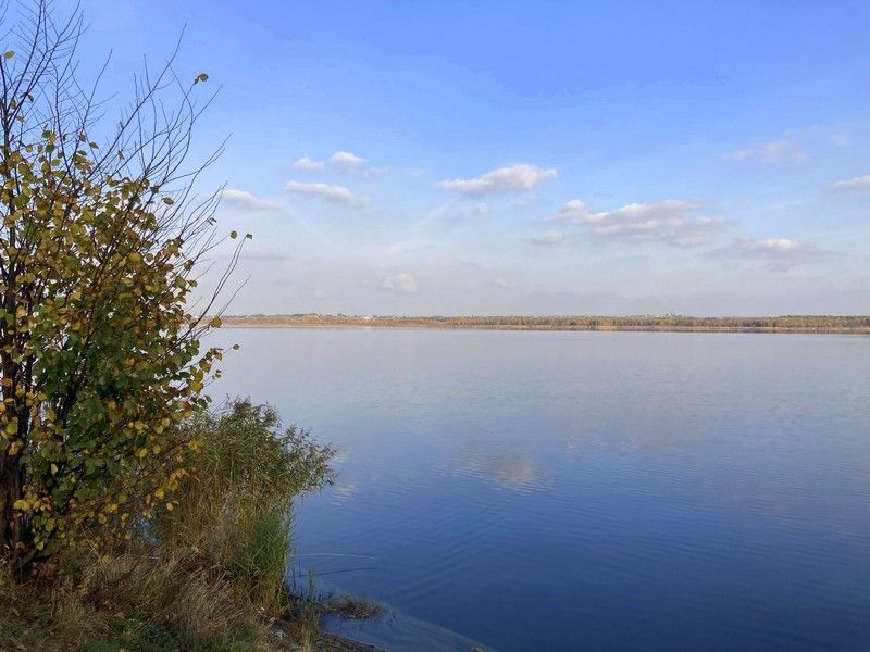 Park w Świerklańcu to jeden z najciekawszych parków województwa śląskiego [Galeria] - galeria
