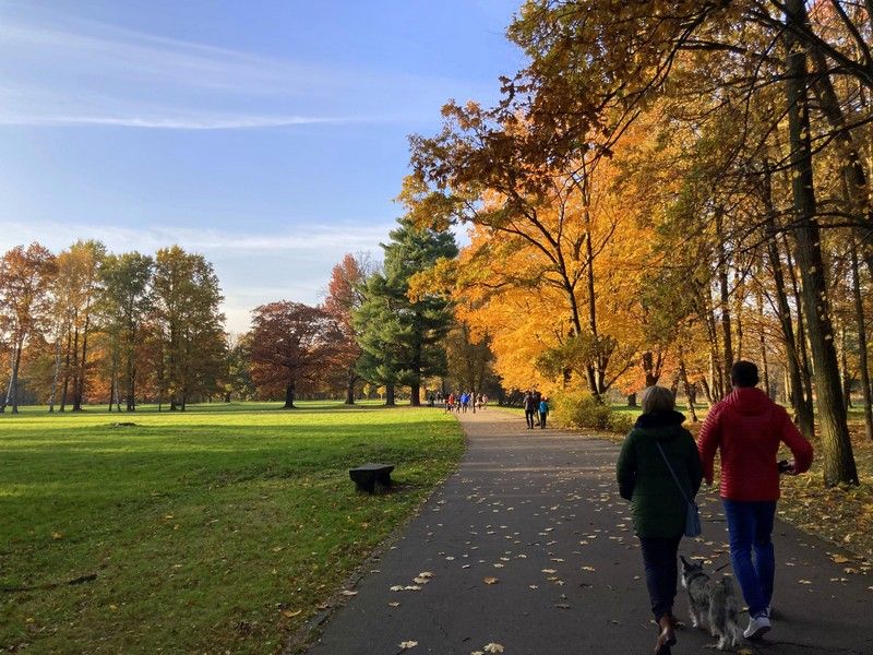 Park w Świerklańcu to jeden z najciekawszych parków województwa śląskiego [Galeria] - galeria