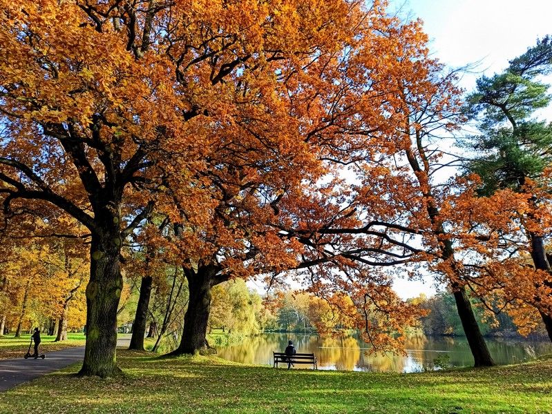 Park w Świerklańcu to jeden z najciekawszych parków województwa śląskiego [Galeria] - galeria