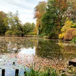Kopiowanie i rozpowszechnianie zdjęć bez zgody autora zabronione. Park Zamkowy w Pszczynie idealny na jesienne spacery. Feeria barw zachęca do odwiedzin - galeria