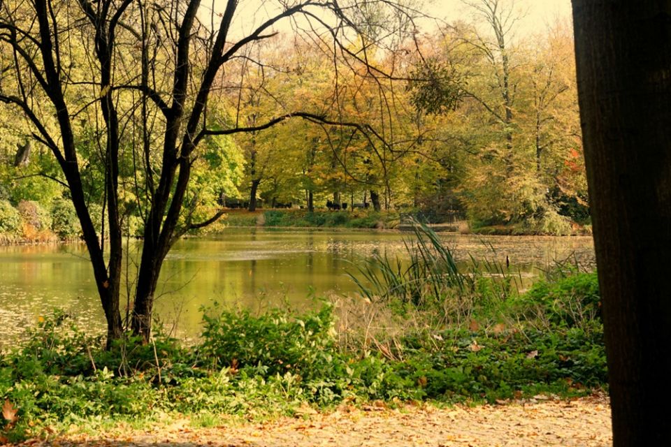 Park Zamkowy w Pszczynie idealny na jesienne spacery. Feeria barw zachęca do odwiedzin - galeria